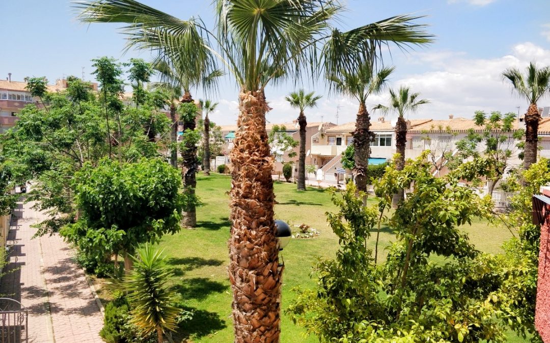 One bed, one bath apartment with private terrace in La Regia, within walking distance of Cabo Roig
