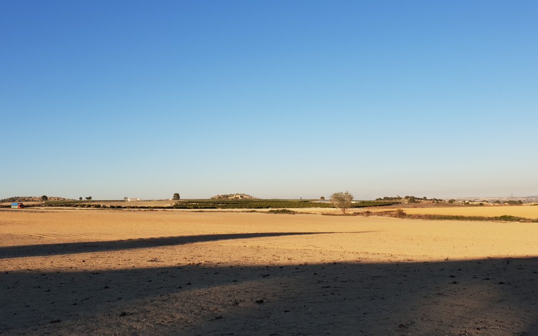 30.000 sqm fertile land with water rights for sale in San Miguel de Salinas
