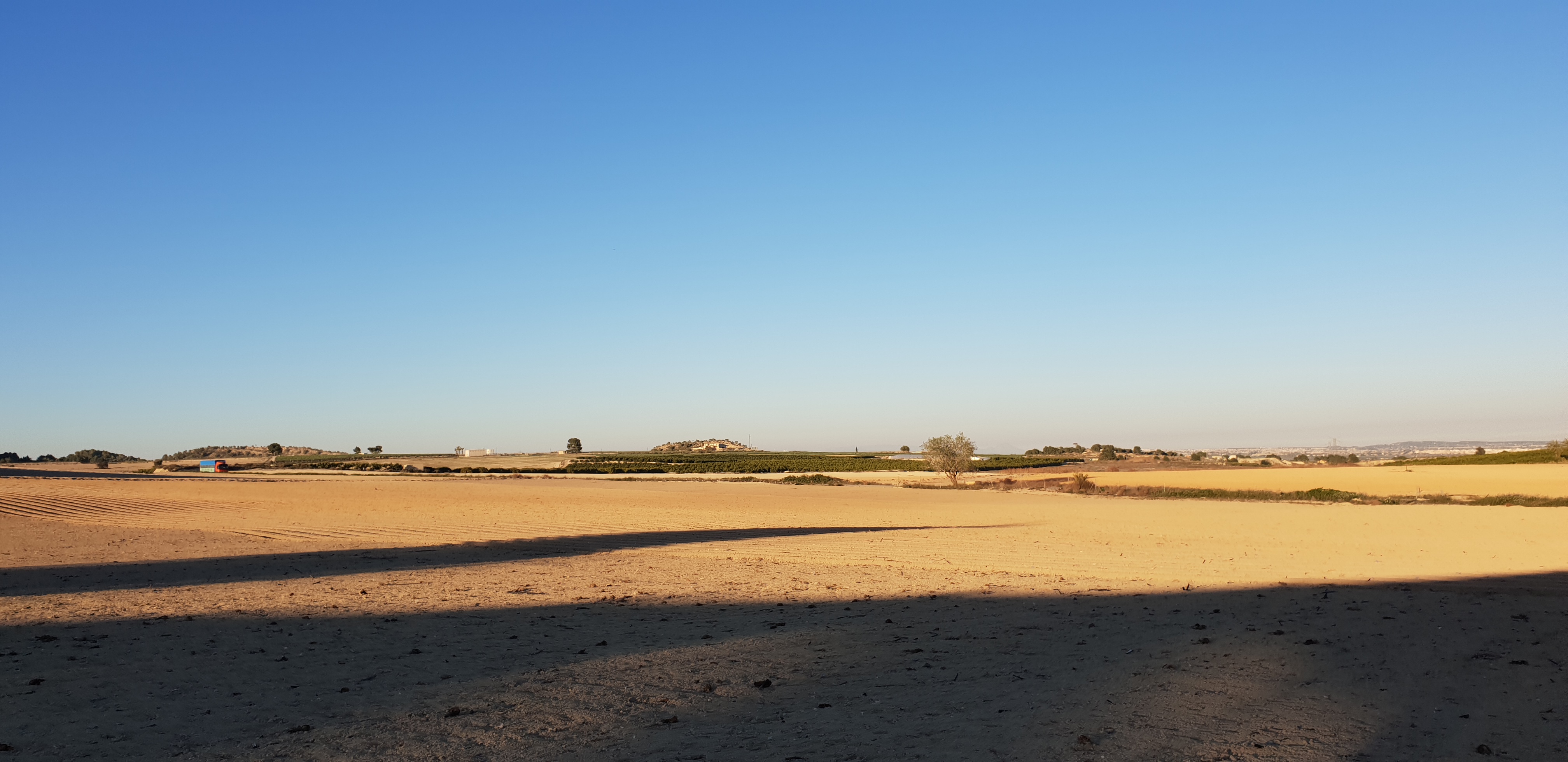 30.000 sqm fertile land with water rights for sale in San Miguel de Salinas
