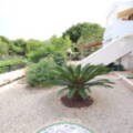 Mil Palmeras, Mil Palmeras,  Alicante 03191 Mil Palmeras Spain