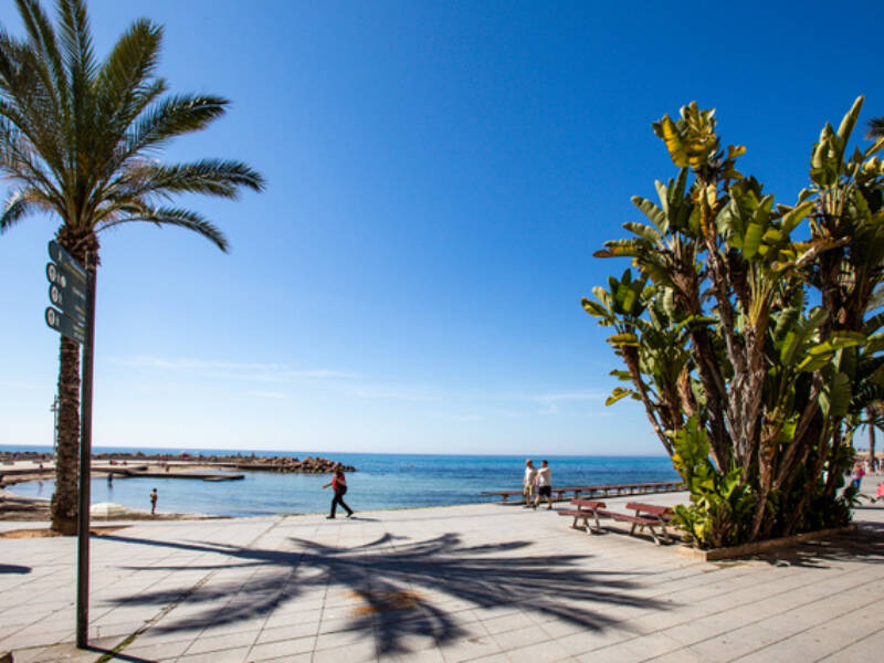 Torrevieja, Torrevieja,  Alicante 03183 Torrevieja Spain