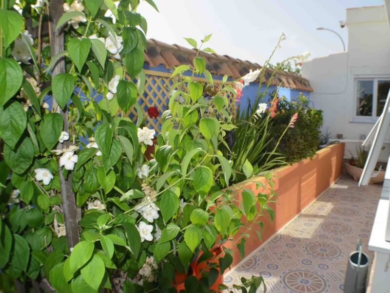 Orihuela-Costa, La Florida,  Alicante 03189 Orihuela-Costa Spain