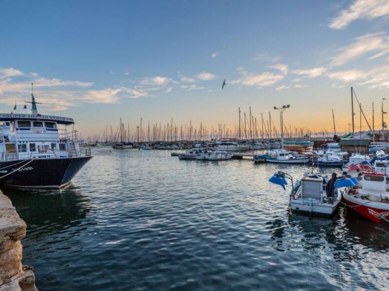 03180 Torrevieja, Torrevieja,  Alicante 03180 Torrevieja Spain