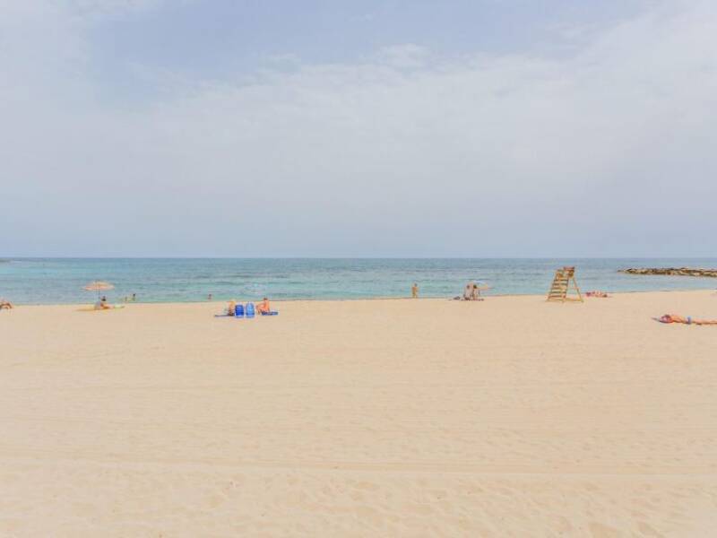 03180 Torrevieja, Torrevieja,  Alicante 03180 Torrevieja Spain
