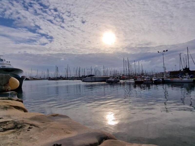 03180 Torrevieja, Torrevieja,  Alicante 03180 Torrevieja Spain