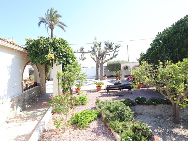 Orihuela Costa, La Marina,  Alicante 03189 Spain