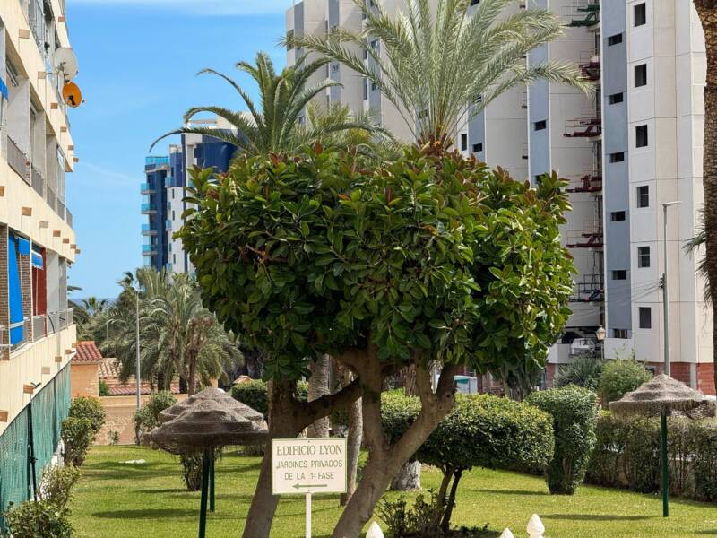 Orihuela Costa, Punta Prima,  Alicante 03189 Spain