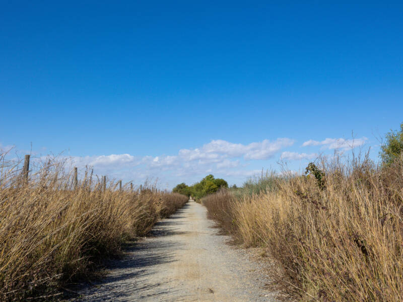 Torrevieja, Torrevieja,  Alicante  Spain