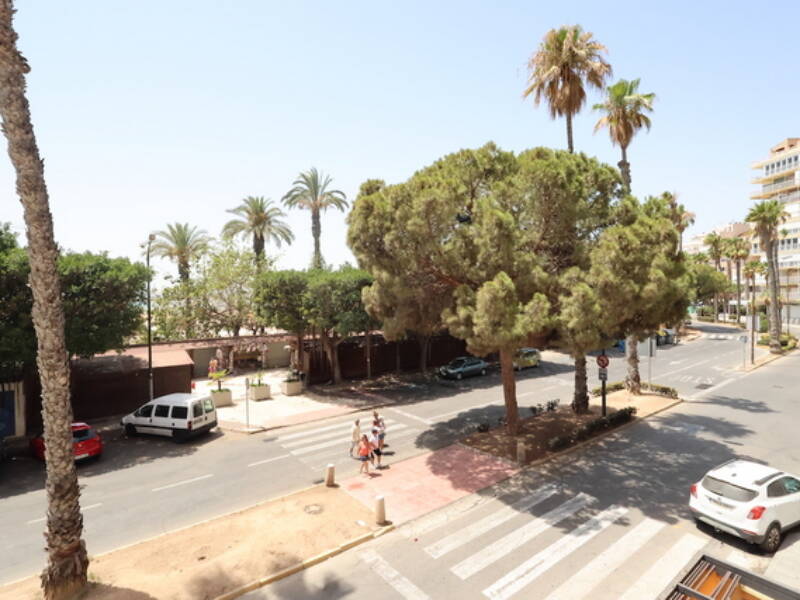 Torrevieja, Torrevieja,  Alicante 03185 Torrevieja Spain