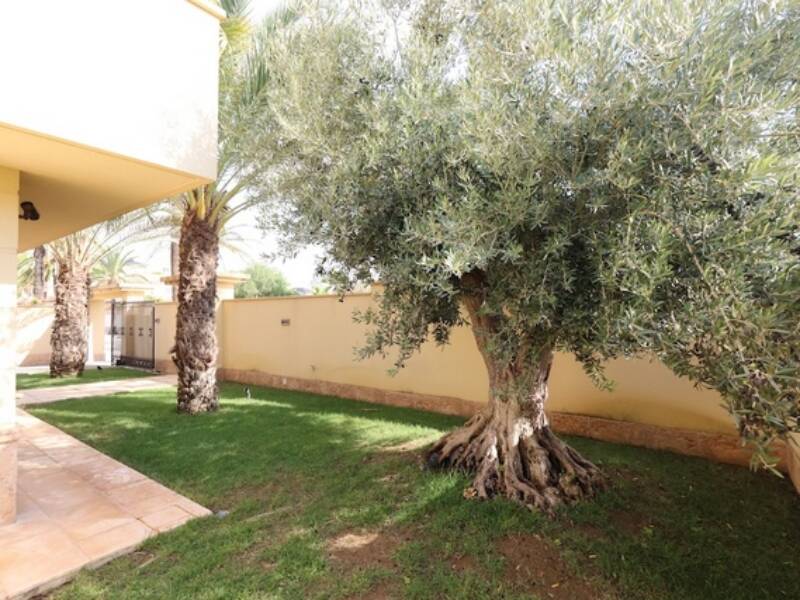 Orihuela-Costa, Cabo Roig,  Alicante 03189 Orihuela.-Costa Spain