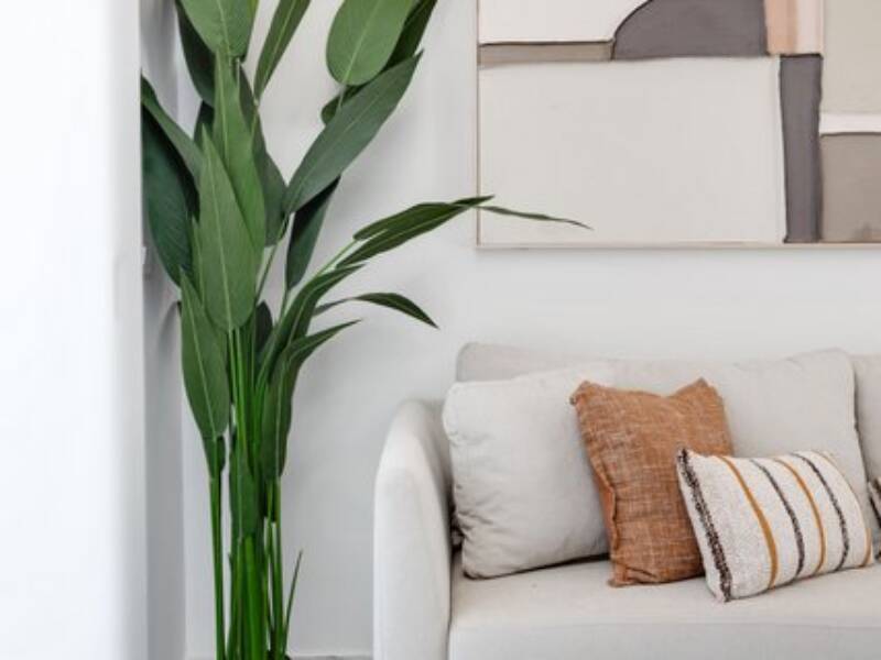 San Miguel de Salinas, San MIguel de Salinas,  Alicante 03193 San Miguel de Salinas Spain