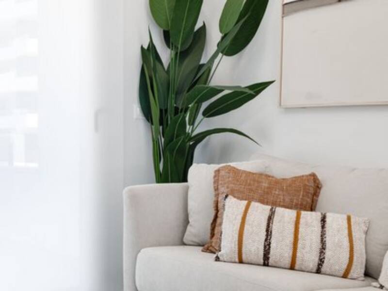 San Miguel de Salinas, San Miguel de Salinas,  Alicante 03193 San Miguel de Salinas