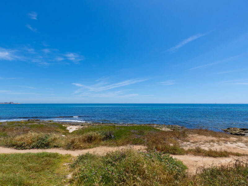Torrevieja, La Veleta,  Alicante 03185 Torrevieja Spain