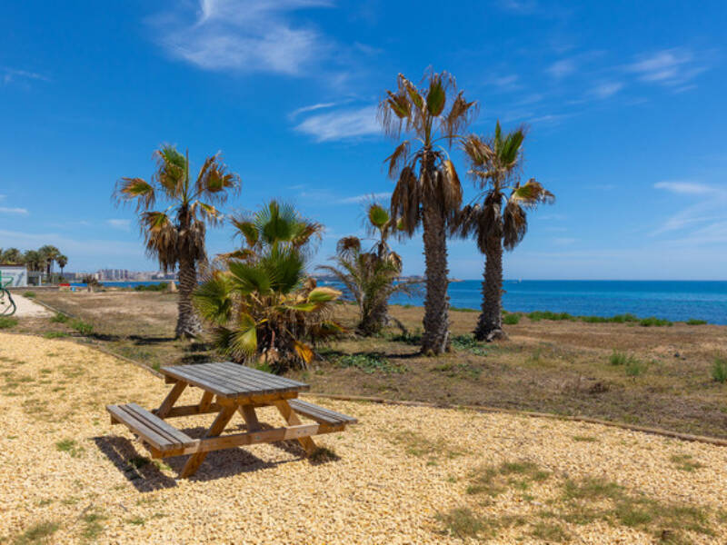 Torrevieja, La Veleta,  Alicante 03185 Torrevieja Spain