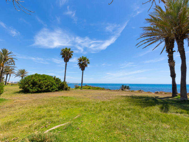 Torrevieja, La Veleta,  Alicante 03185 Torrevieja Spain