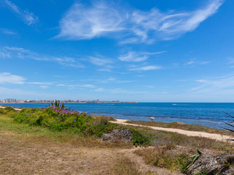 Torrevieja, La Veleta,  Alicante 03185 Torrevieja Spain