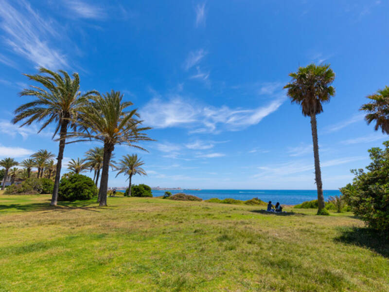 Torrevieja, La Veleta,  Alicante 03185 Torrevieja Spain