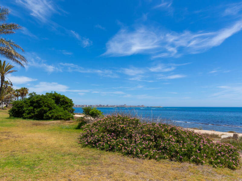 Torrevieja, La Veleta,  Alicante 03185 Torrevieja Spain