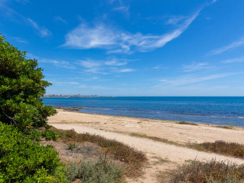 Torrevieja, La Veleta,  Alicante 03185 Torrevieja Spain