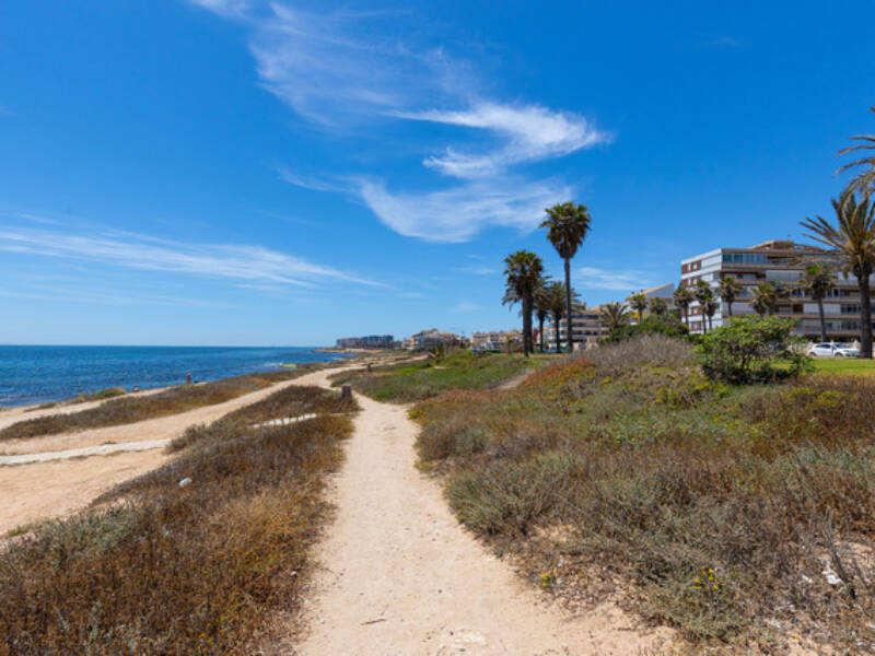 Torrevieja, La Veleta,  Alicante 03185 Torrevieja Spain