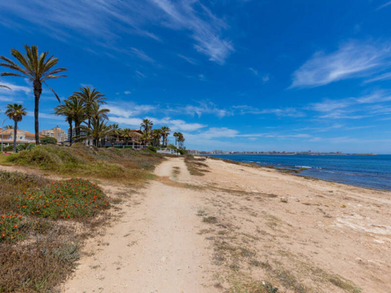 Torrevieja, La Veleta,  Alicante 03185 Torrevieja Spain